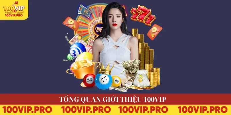 Tổng quan giới thiệu 100VIP