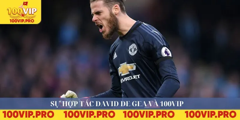 Sự hợp tác David De Gea và 100VIP 