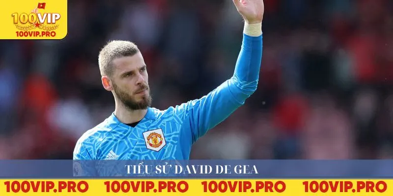 Tiểu sử David De Gea
