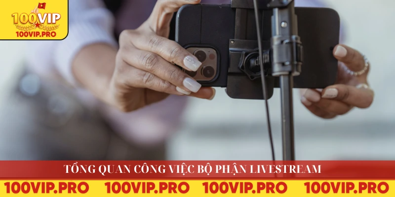Tổng quan công việc bộ phận livestream