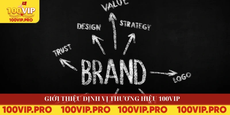 Giới thiệu định vị thương hiệu 100VIP