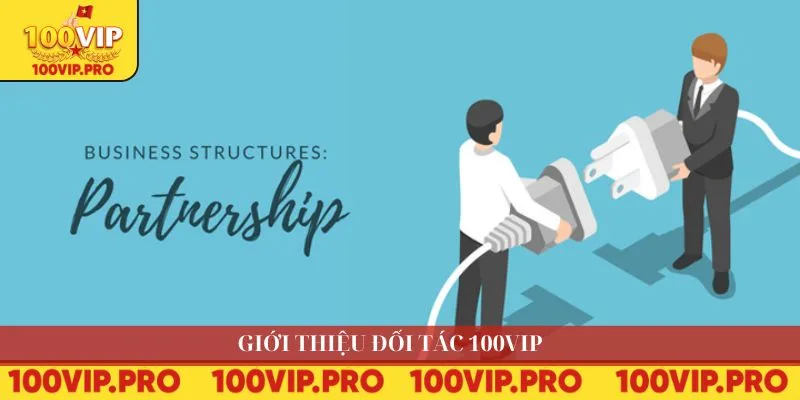 Giới thiệu đối tác 100VIP
