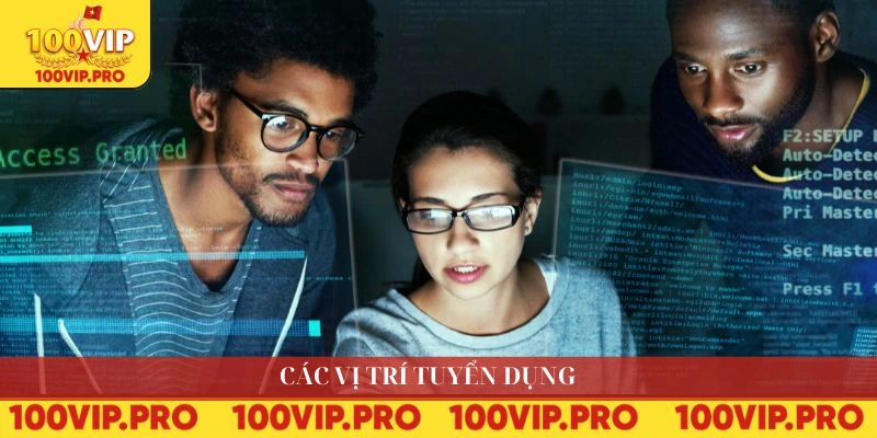Các vị trí tuyển dụng 